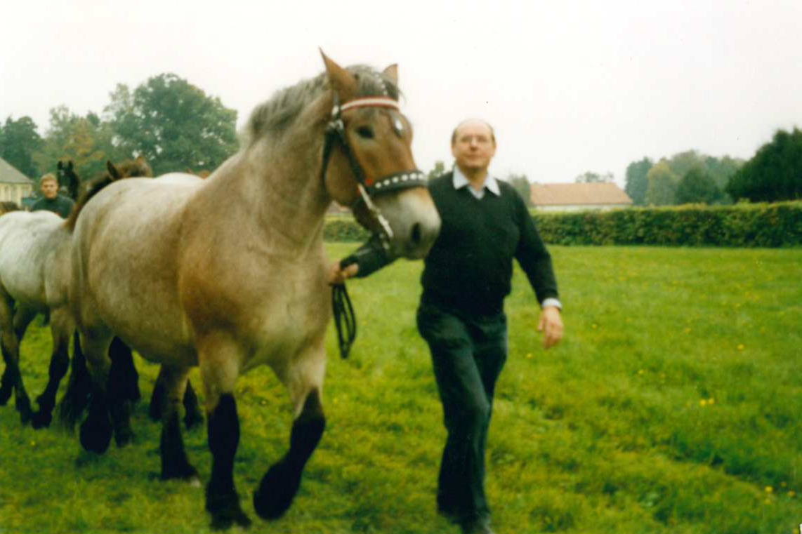 Affra, Braunschimmelstute aus der Kaltblutzucht des Münchshofs