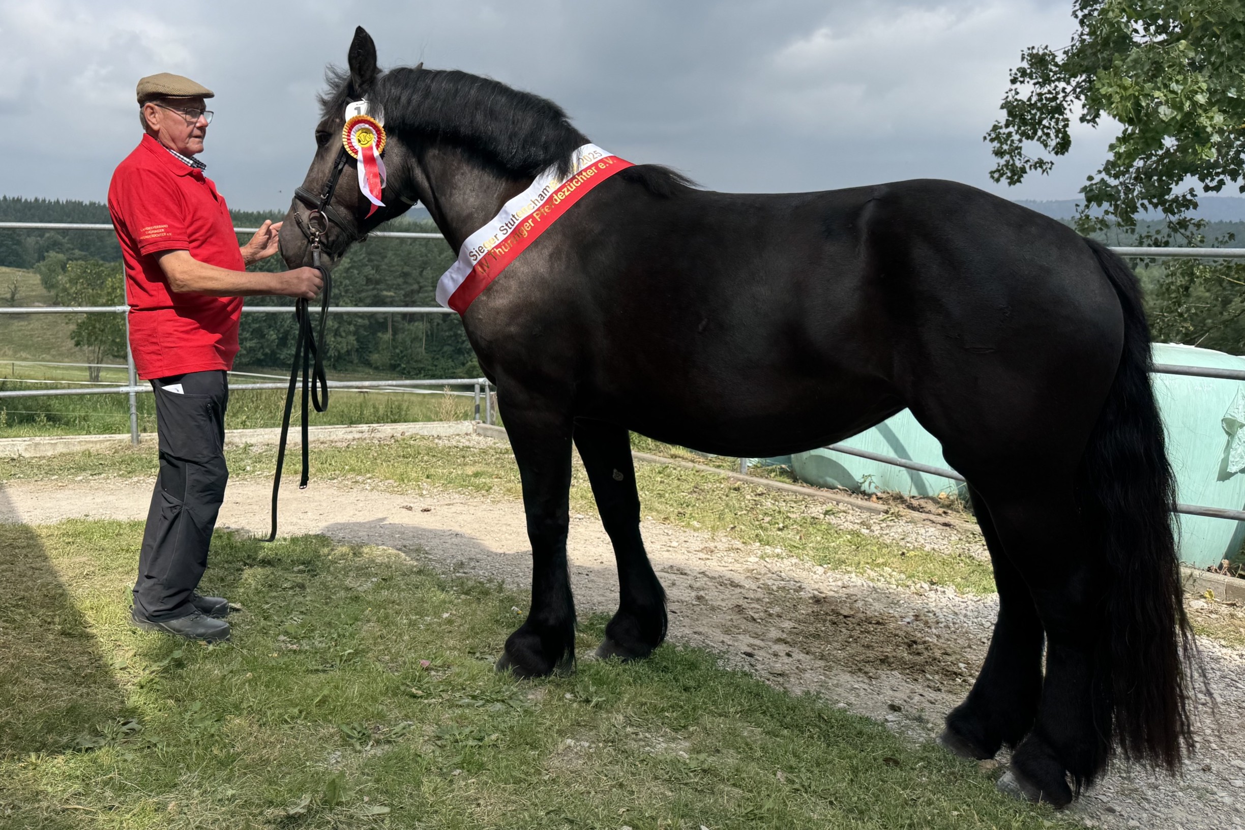 Ellena von Gransee als Siegerstute des Thüringer Stutenchampionats 2025