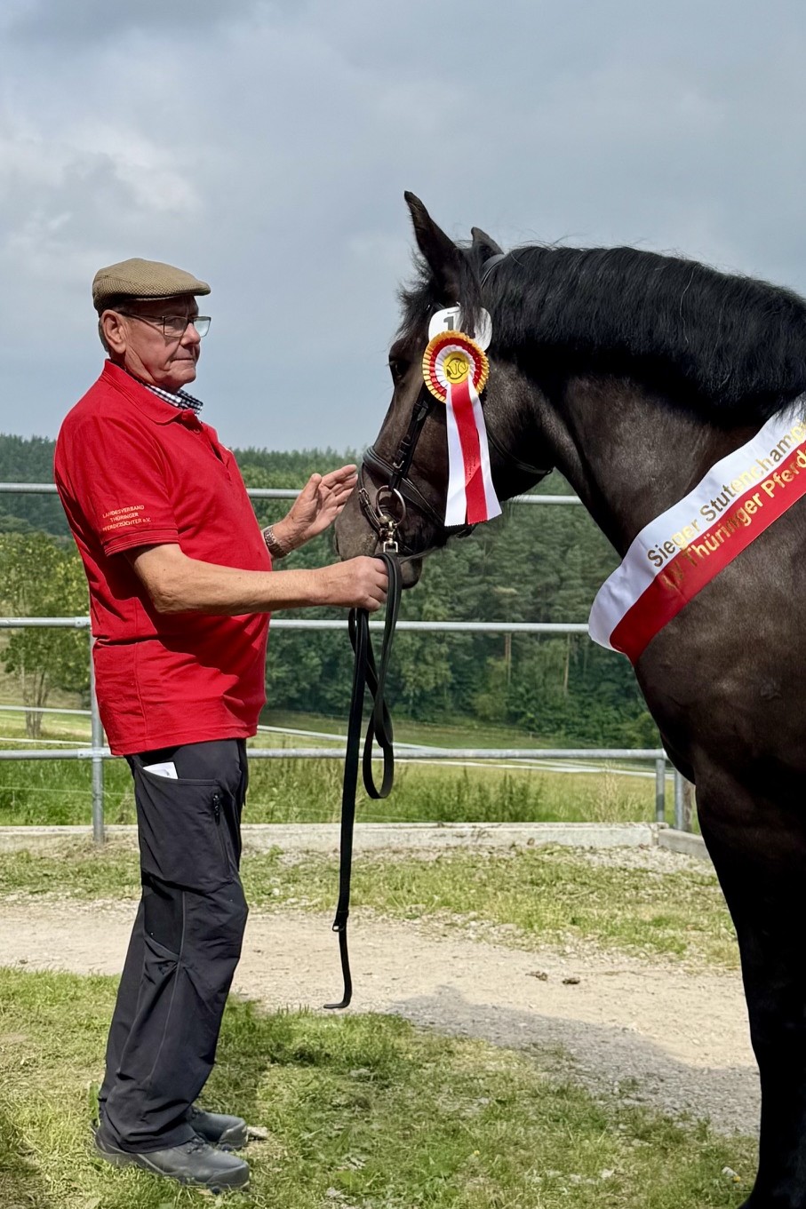 Ellena von Gransee als Siegerstute des Thüringer Stutenchampionats 2025